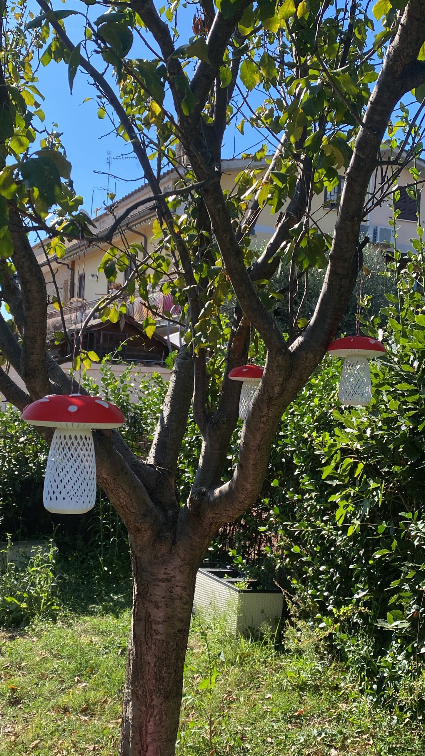 Mangiatoia per uccelli_Fungo
