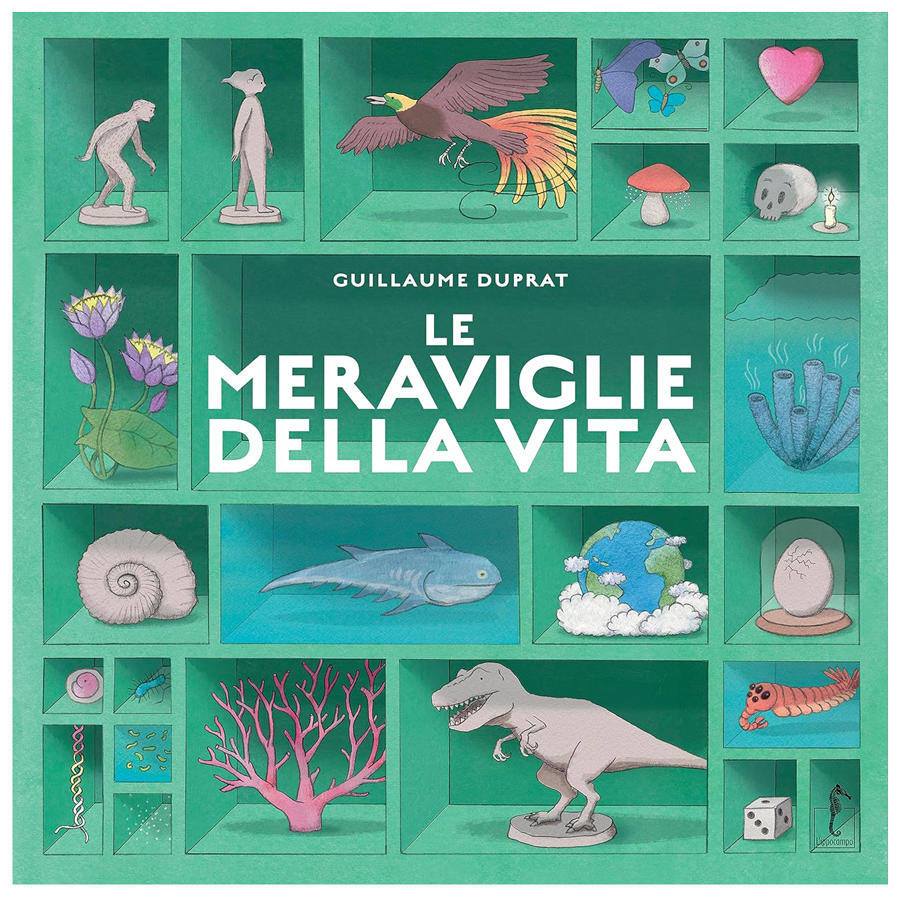 Meraviglie della vita