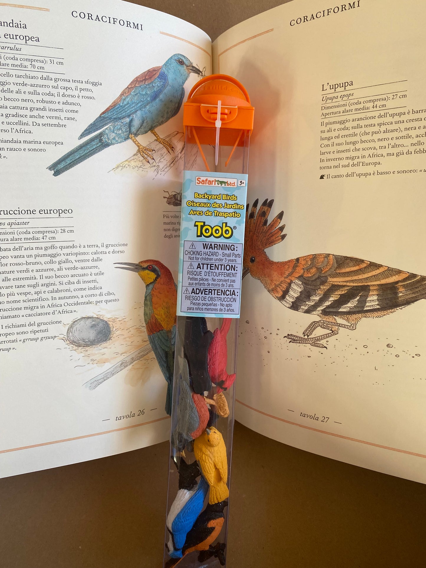 Box Avventure in Natura - Uccelli