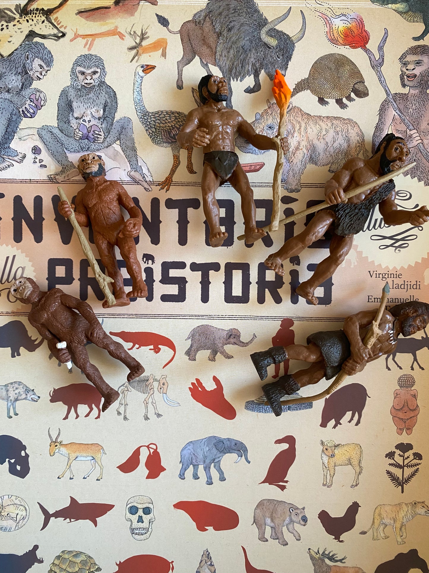 Box Avventure nella Preistoria