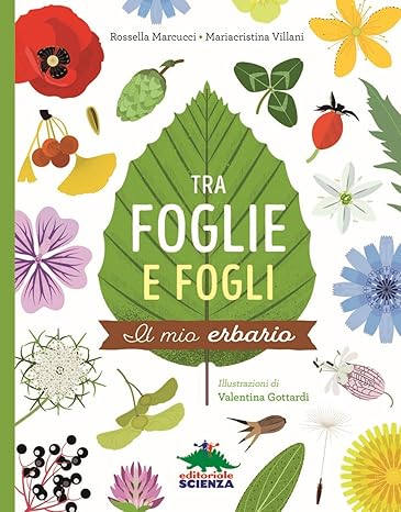 Tra foglie e fogli. Il mio erbario