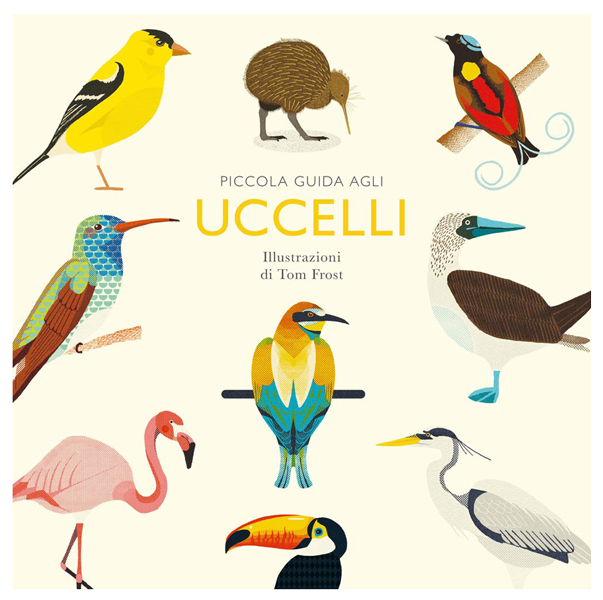 Piccola guida agli uccelli