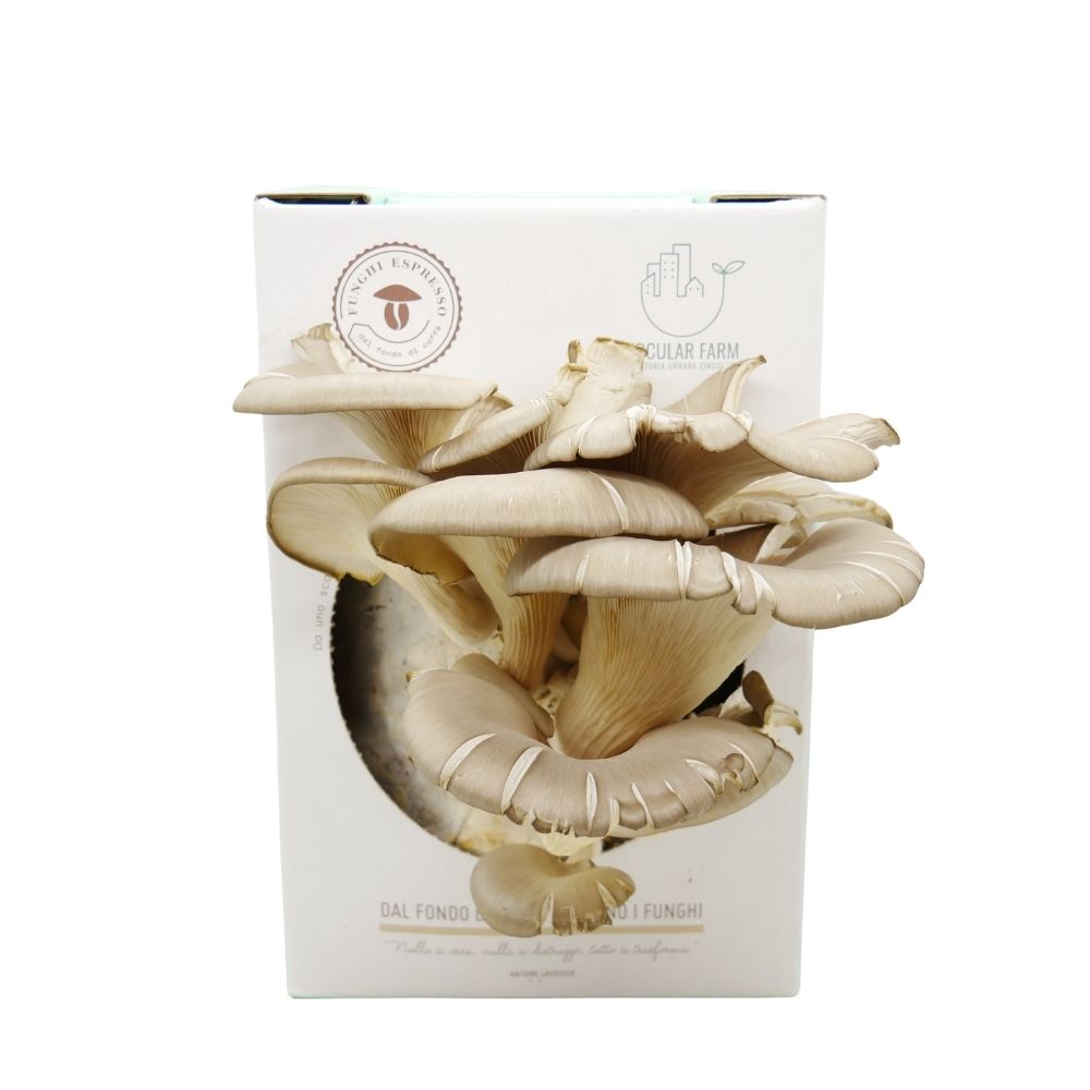 Kit Funghi-Espresso