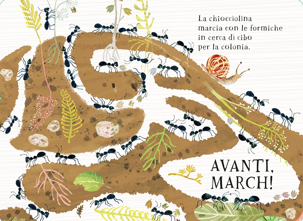 Il piccolo libro delle bestioline