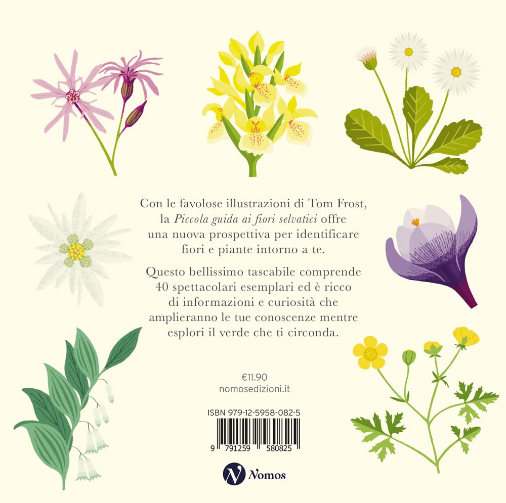 Piccola guida ai fiori selvatici