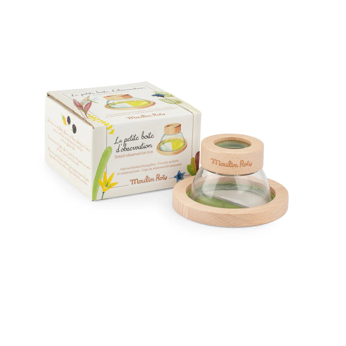 Piccola scatola di osservazione insetti