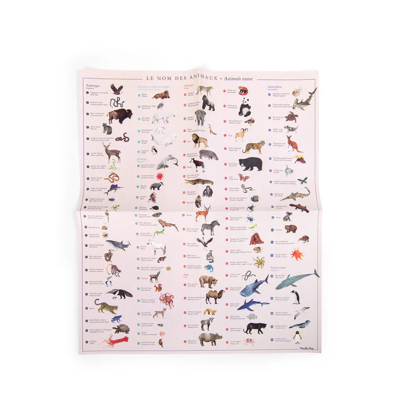 Trasferelli decalcomanie mappamondo