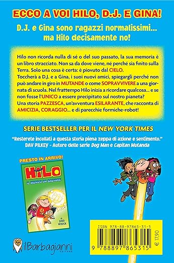 Hilo. Il ragazzo precipitato sulla terra