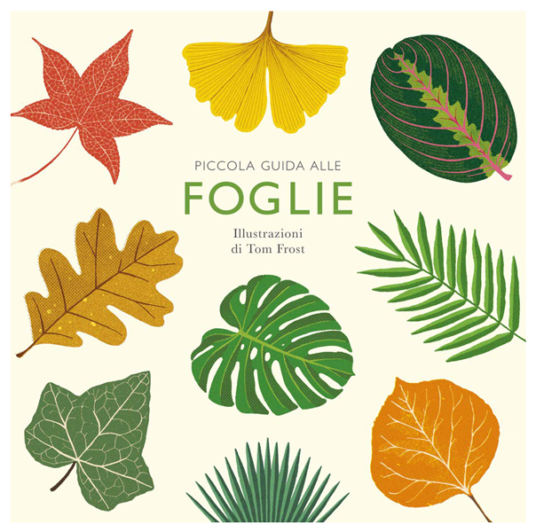 Piccola guida alle foglie