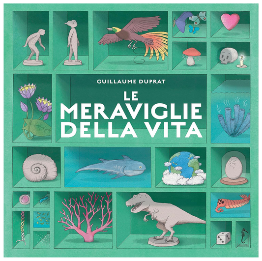 Meraviglie della vita