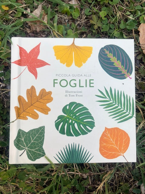 Box Avventure Foglie
