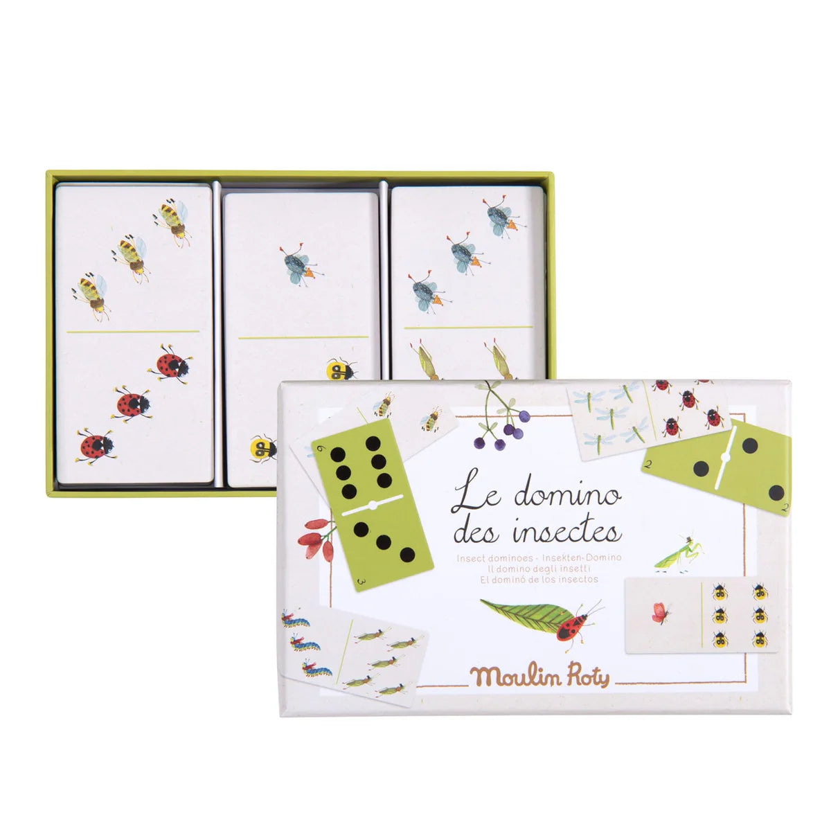 Gioco domino degli insetti fronte-retro
