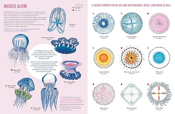 Il giardino delle meduse